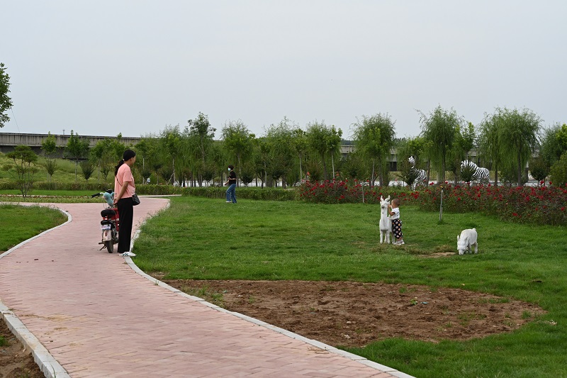 DSC_3596.JPG