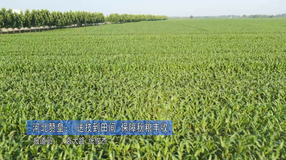 微信图片_20220822095325.png