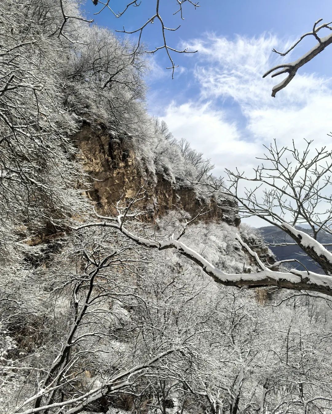 大雪时节3.jpg