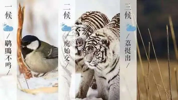 大雪时节4.jpg