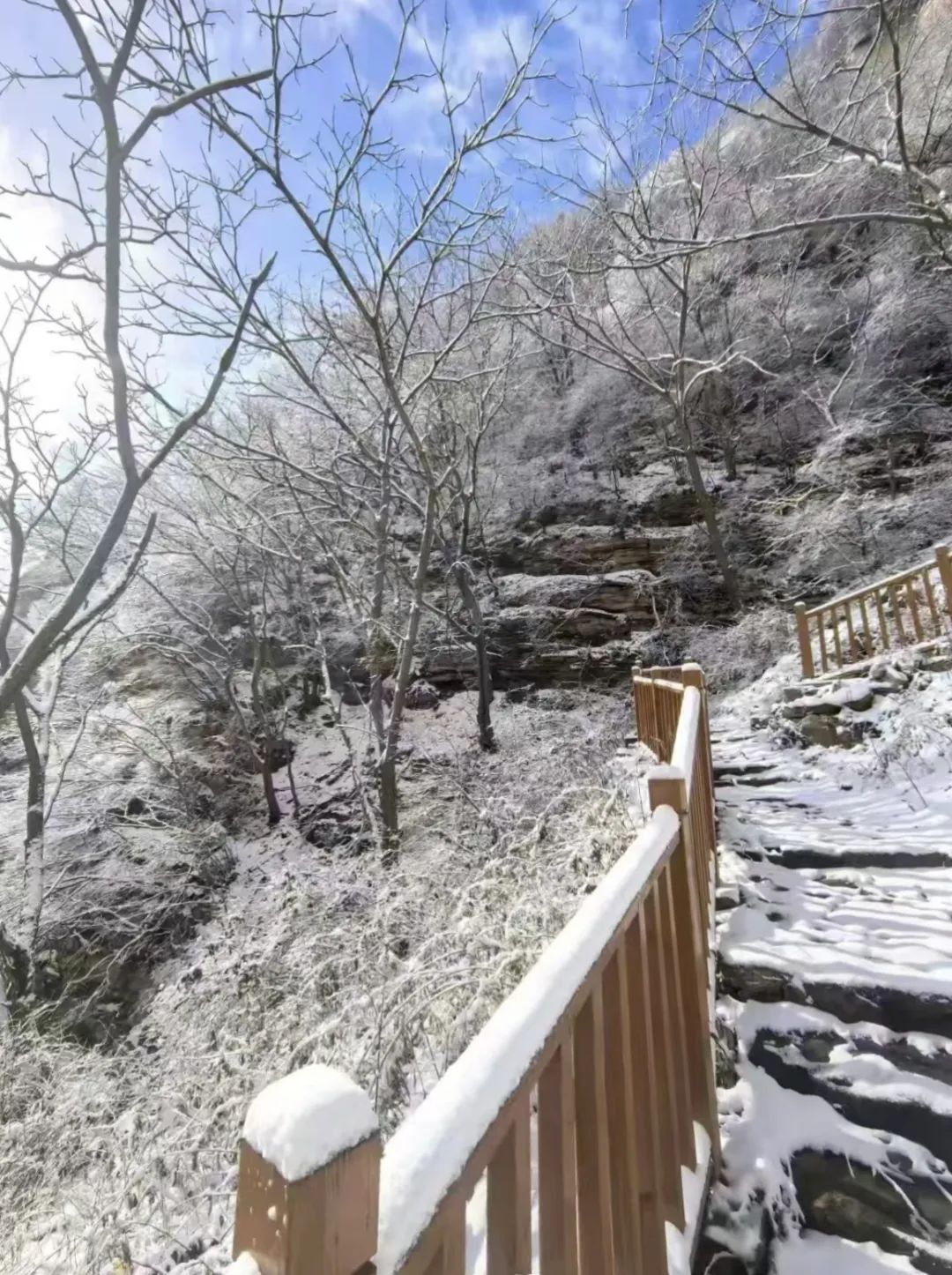 大雪时节8.jpg