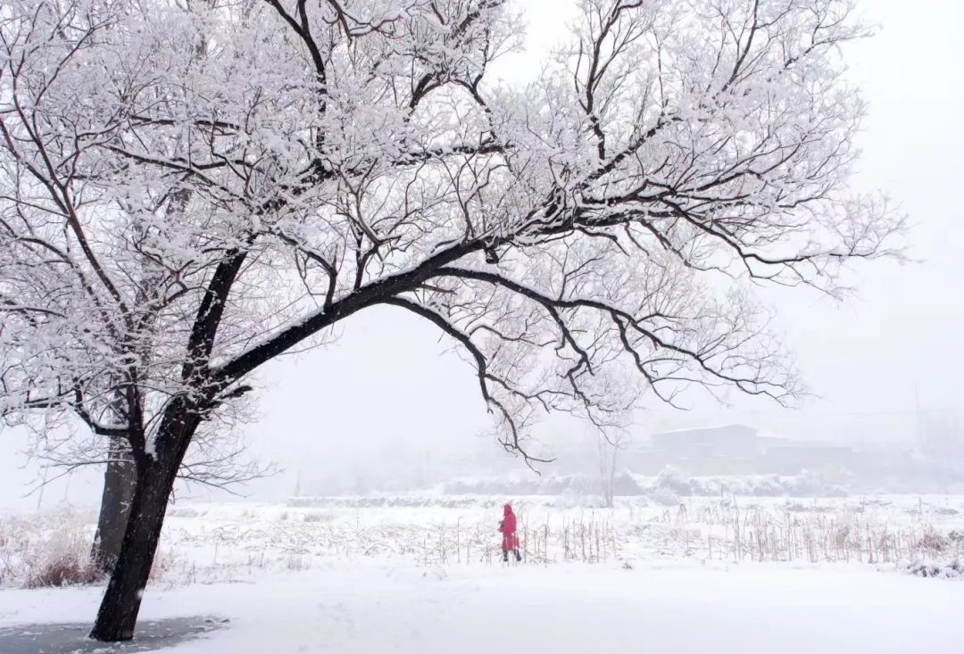 大雪时节9.jpg