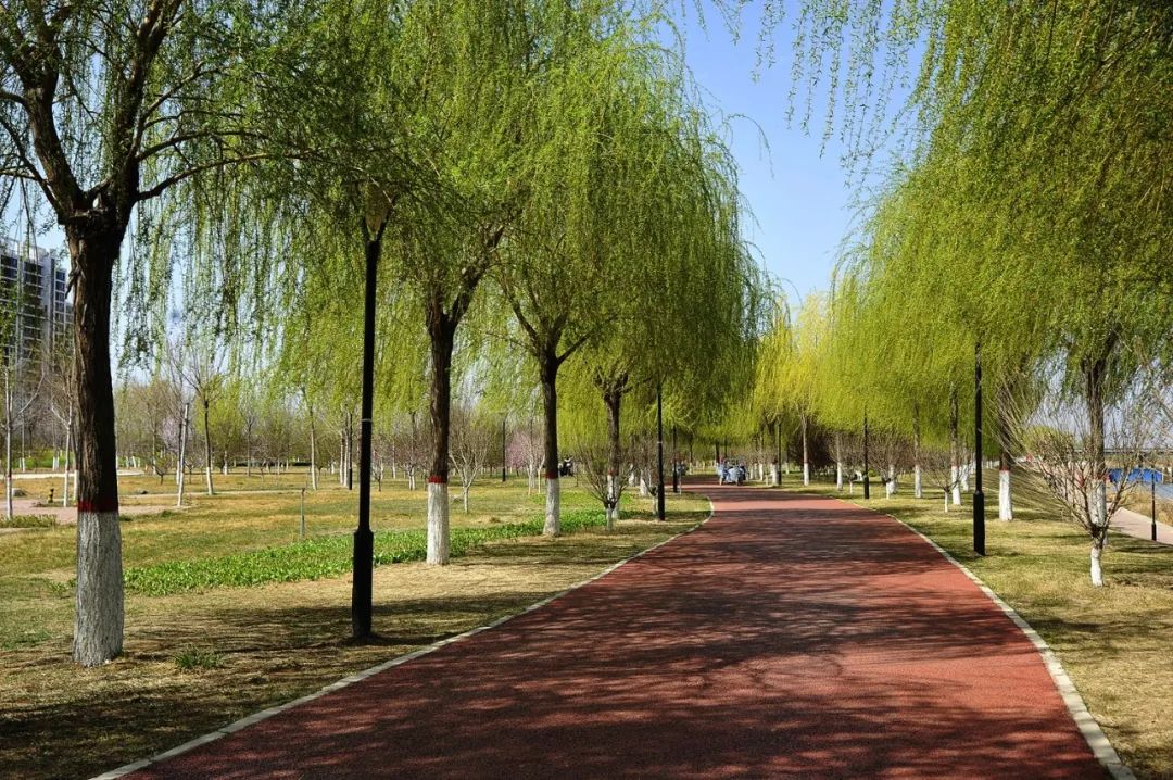 555.jpg