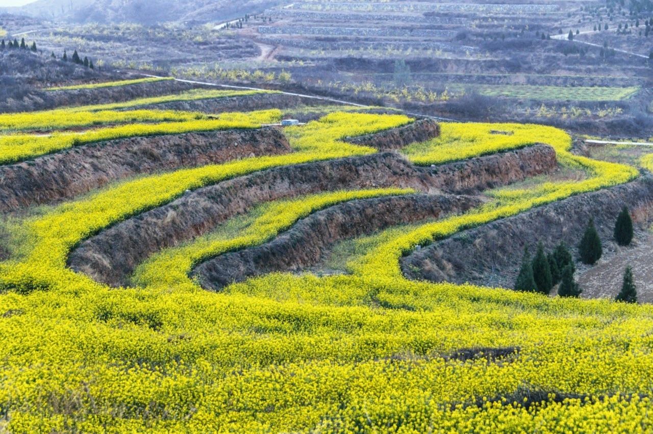 guangyingznahuang2.jpg