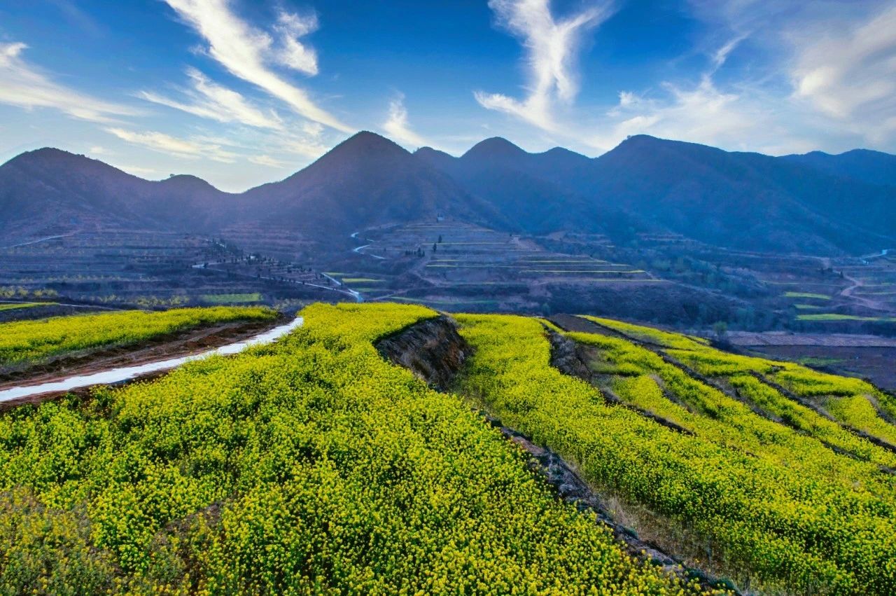 guangyingznahuang5.jpg