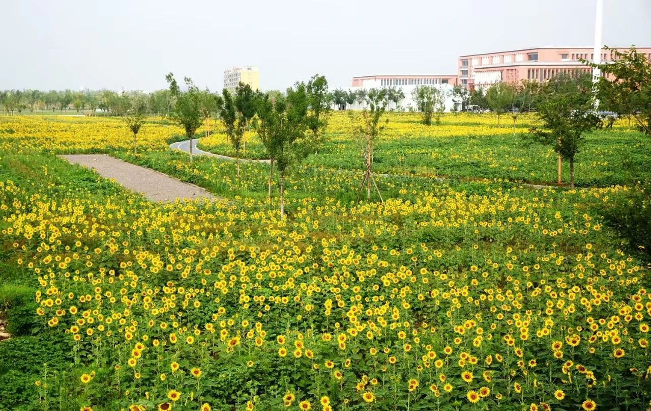 1754900289797941.jpg 555.jpg