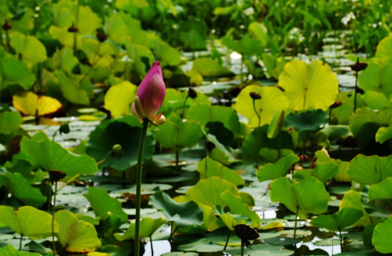 1756087382833824.jpg 222.jpg