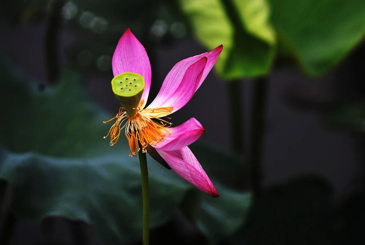 1756087405190353.jpg 555.jpg