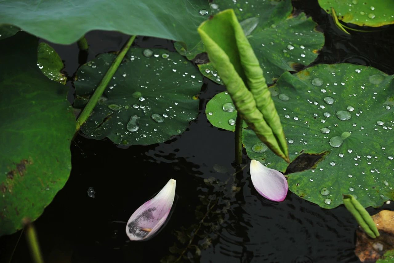 1756087418363522.jpg 777.jpg