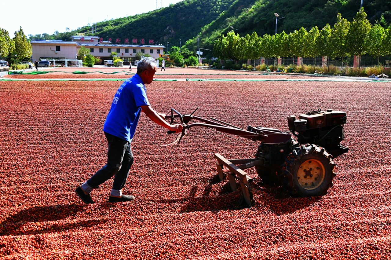 1757556995312862.jpg 222.jpg