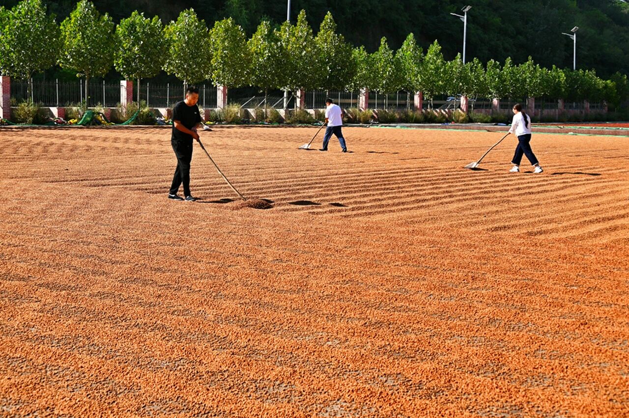 1757557005661986.jpg 333.jpg