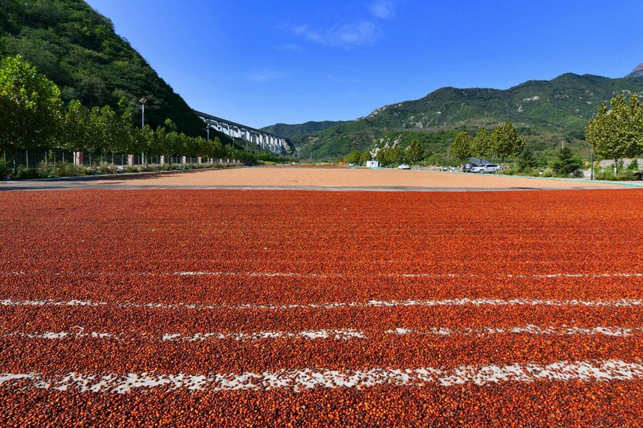 1757557012719179.jpg 444.jpg