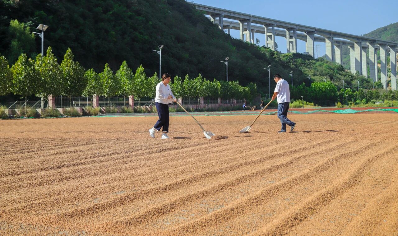 1757557021292785.jpg 555.jpg