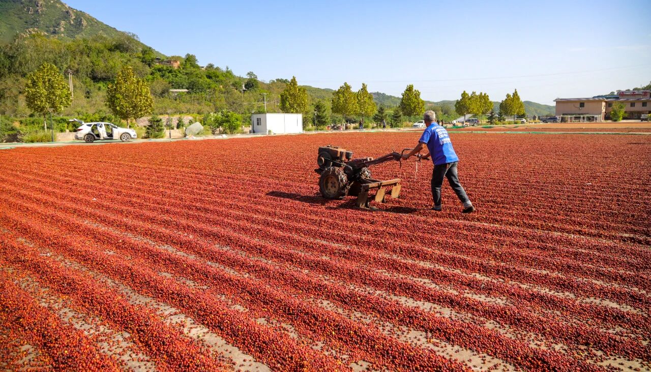 1757557030147556.jpg 666.jpg