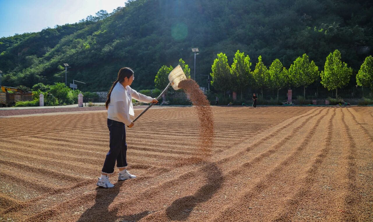 1757557038455107.jpg 777.jpg