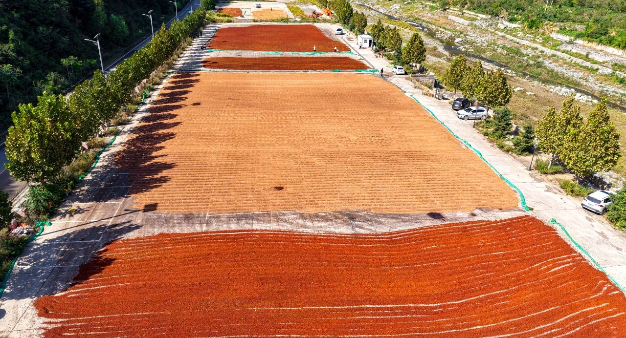 1757557046103528.jpg 888.jpg