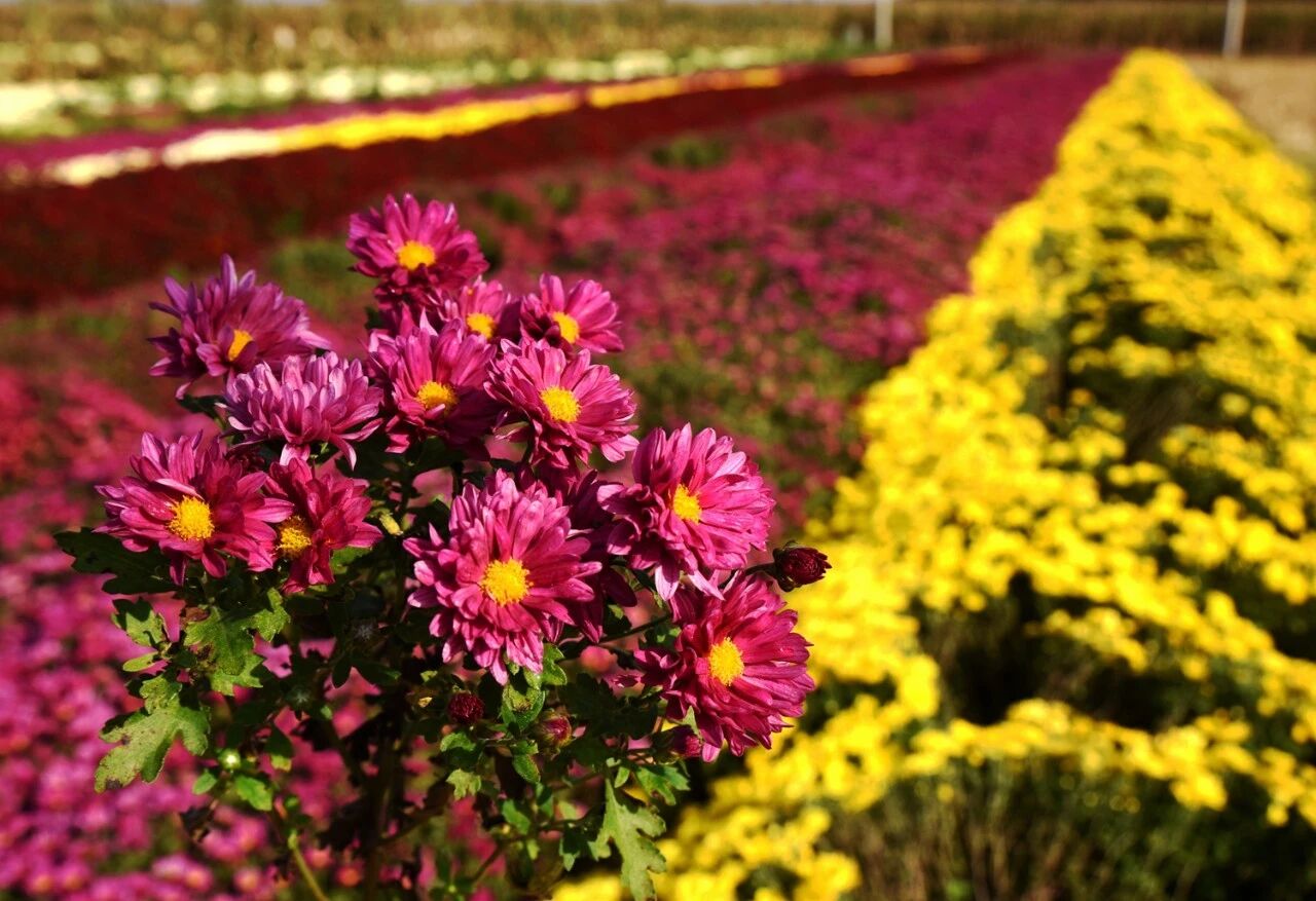 1760080319143892.jpg 222.jpg