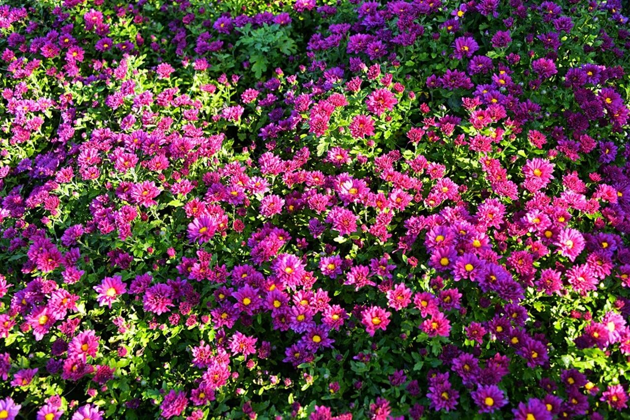 1760080328108615.jpg 333.jpg