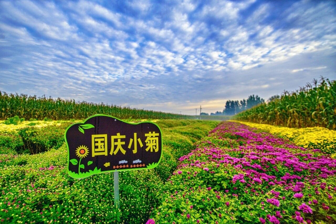 1760080336724436.jpg 微信图片_2025-10-10_151135_481.jpg