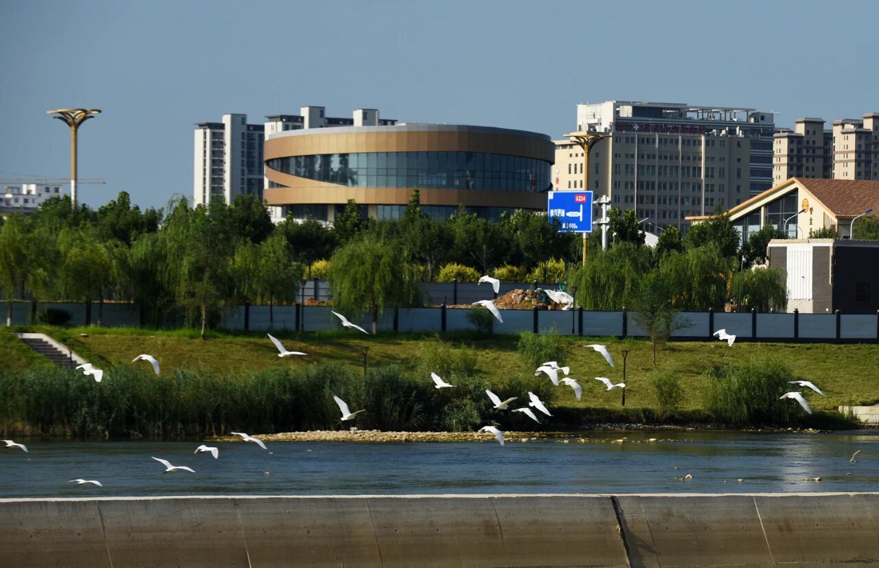 1761016040743137.jpg 22.jpg