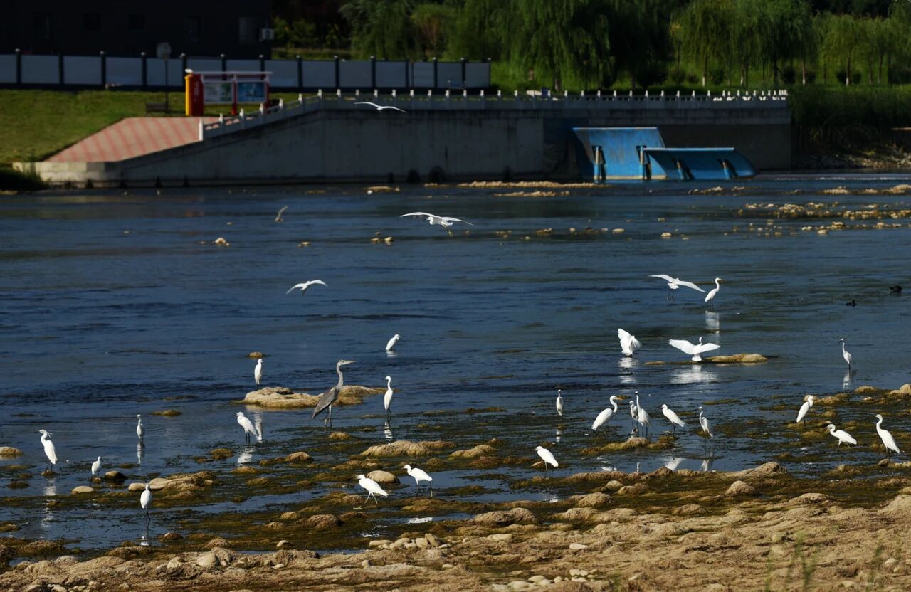 1761016047379144.jpg 33.jpg