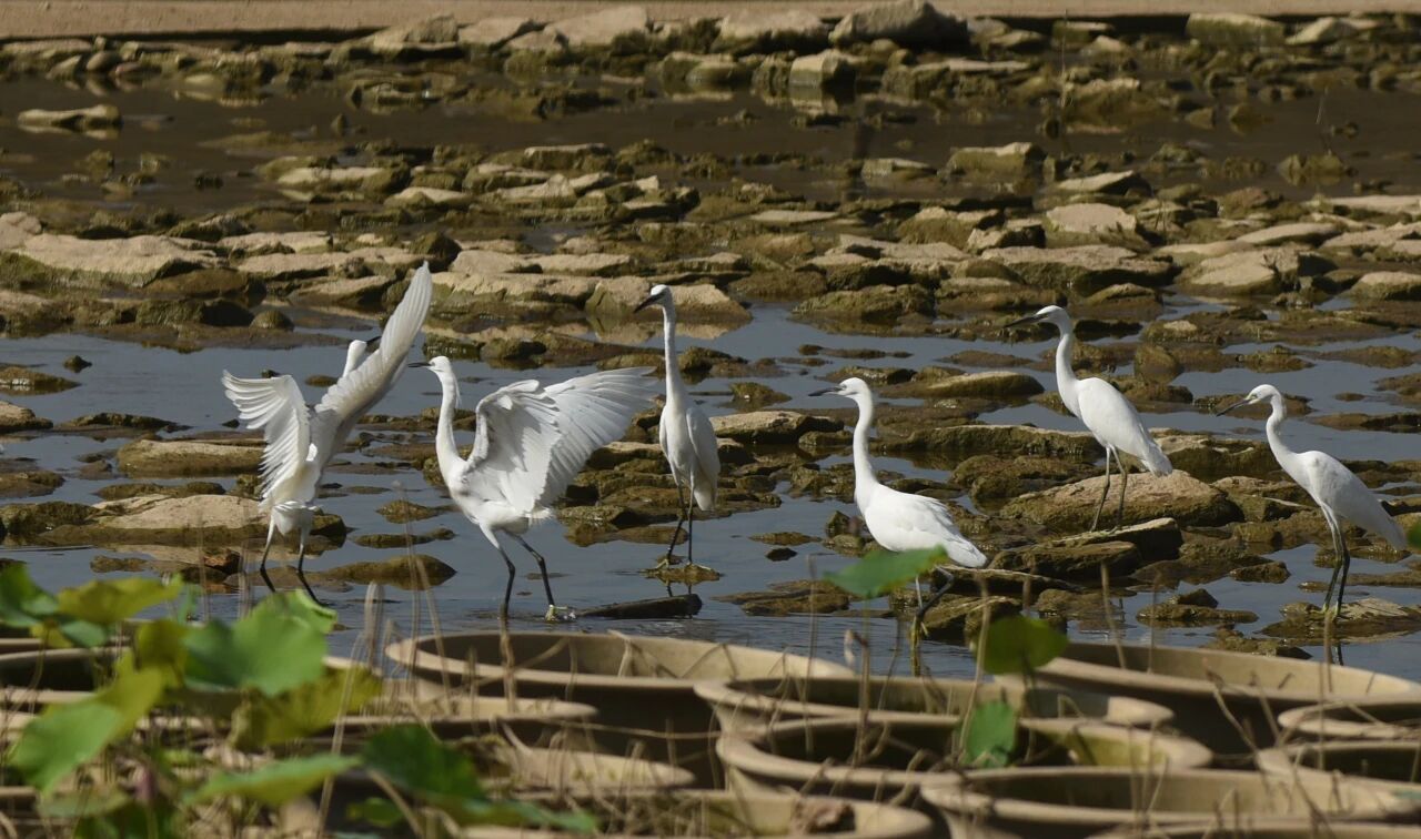 1761016054882360.jpg 55.jpg