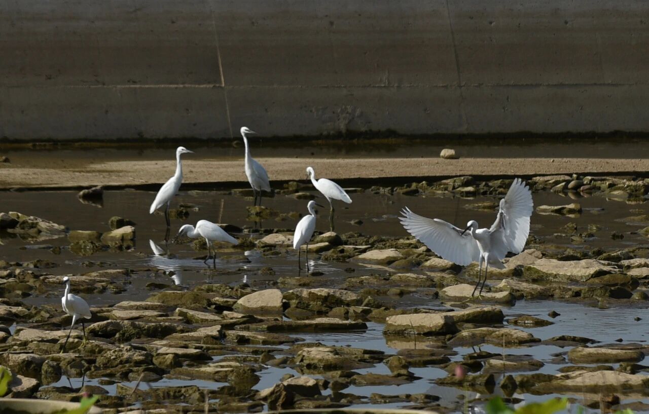 1761016062915768.jpg 66.jpg