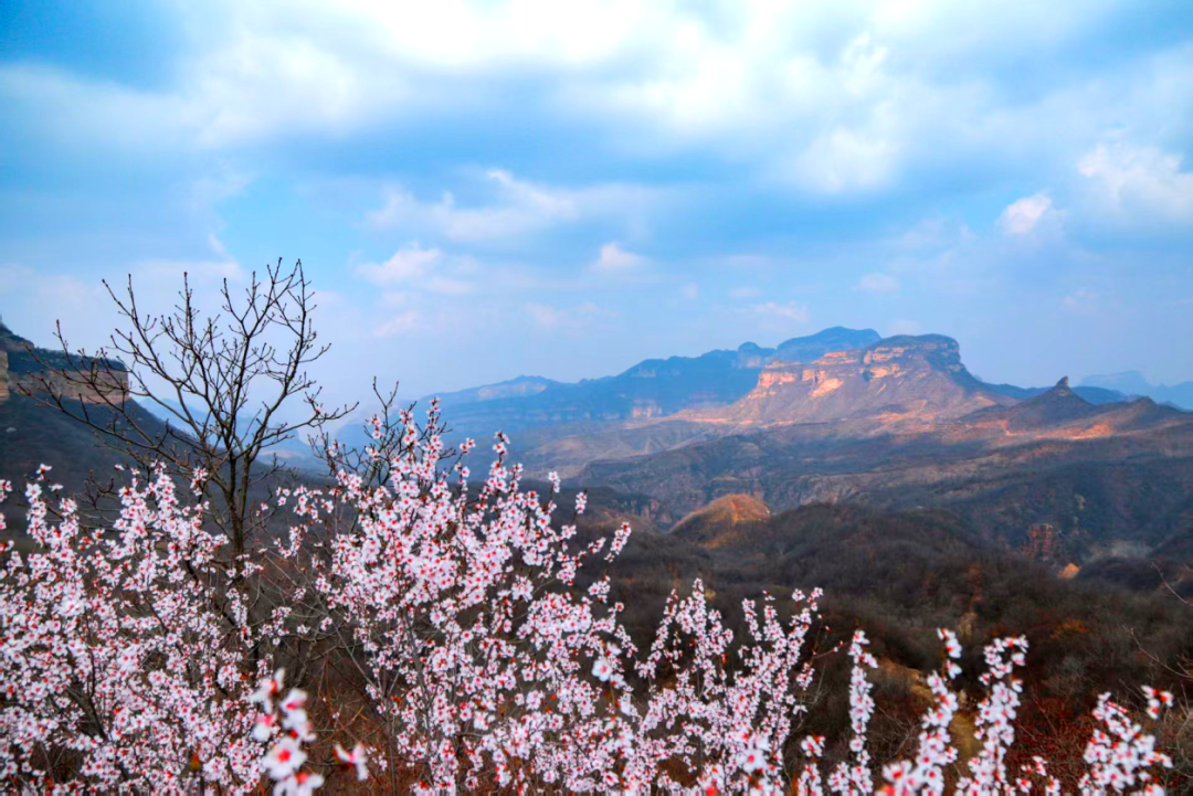 光影赞皇 | 春染棋盘山 盛景醉游人